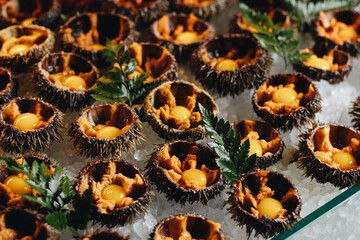 Fresh Sea Urchin and Quail Egg Delicacy