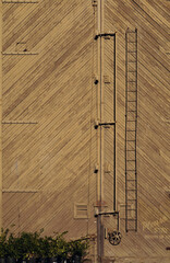 Mega Hinges, Locks, and Ladder 2013