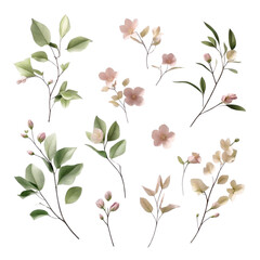 Botanical watercolor illustration of floral elements for wedding invitation and spring design with leaves on transparent background