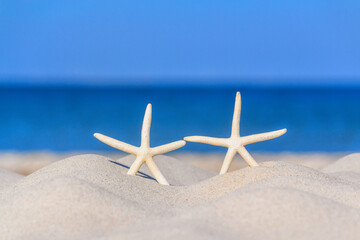 View of a beach with a pair of starfish on the sand under the hot summer sun, selective focus....