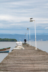 man fishing on a pier with seagulls perched on lampposts