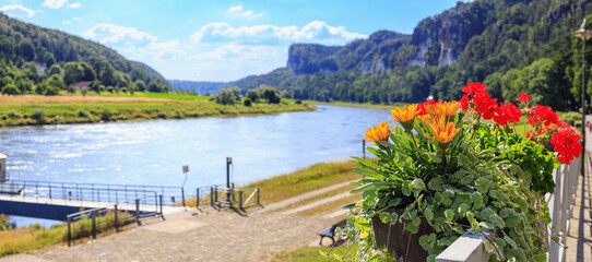Beautiful landscape - close up view of flowers in a pot on the banks of the Elba River near the village of Rathen, in Saxony, Germany