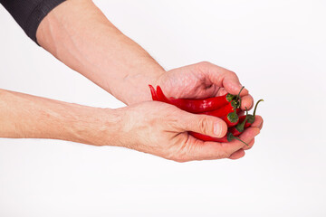 Close-up view of red chili pepper in the hands of a male cook, selective focus, isolated on white...