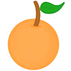 Illustration of a Orange Fruit