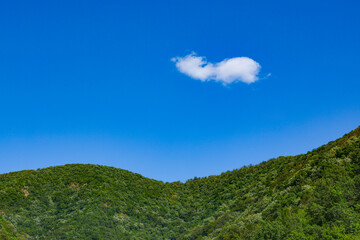 Image of a lonely white cloud over the green mountain forest. Summer forest landscape. White cloud over the blue sky