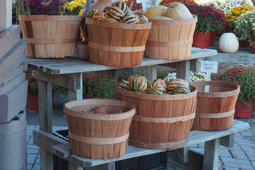 Baskets of Newly Harvested Squash