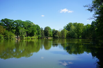 lake in the park