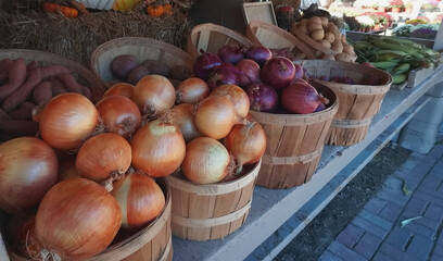 Onions in Baskets at a Market