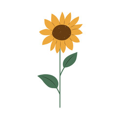 Isolated flat vector illustration of hand drawn colorful sunflower on white background. Cottagecore lifestyle.