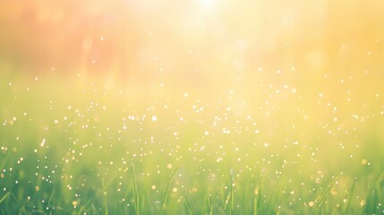 Soft Focus Background of Sunshine on Grass with Shimmering Particles