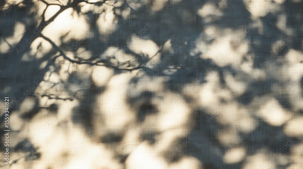 Poster soft shadows of tree branches on textured background