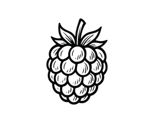 Detailed Raspberry Illustration with Leafy Crown on a Clean White Background