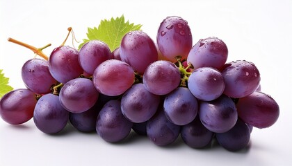 Fototapeta premium a bunch of fresh juicy concord grapes on a white background closeup view