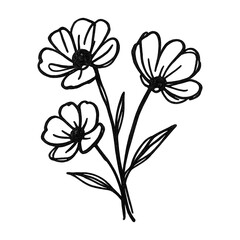 Obraz premium PNG Minimalist floral line art