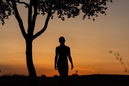Silueta de chica joven, atardecer 