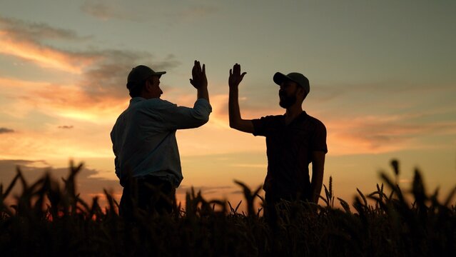 Businessmen teamwork in field in agriculture. Farmers raise their hands, clap their hands, making deal, agricultural field. Teamwork of business people. Businessmen partners shaking hands in field