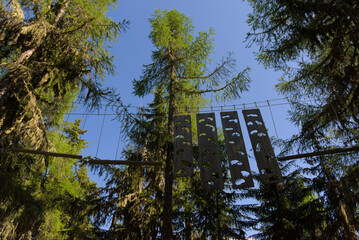 Experience thrilling treetop adventures! This image showcases a climbing park platform nestled high...