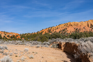entrance to Red Canyon, Panguitch, Garfield County, Utah.  Claron Formation, (Tcp) Pink member. ...