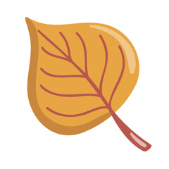 Autumn illustration of a golden poplar leaf. Cozy fall element. Cartoon vector illustration on white background. 