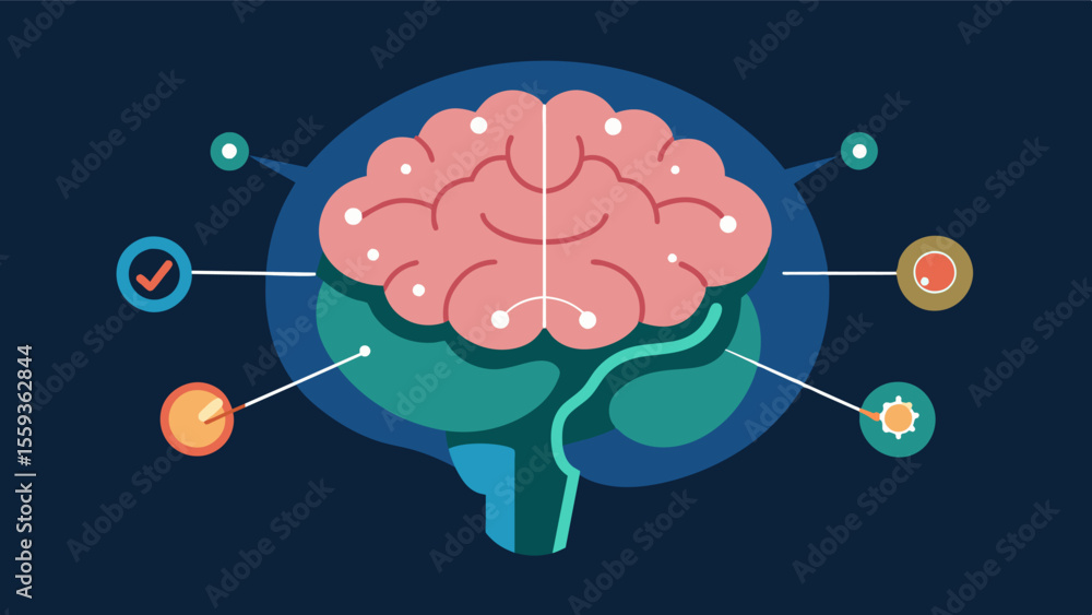 Poster the brain model also features an area dedicated to the hypothalamus and how it regulates basic bodil