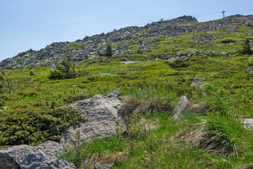 Spring Landscape of Vitosha Mountain, Bulgaria