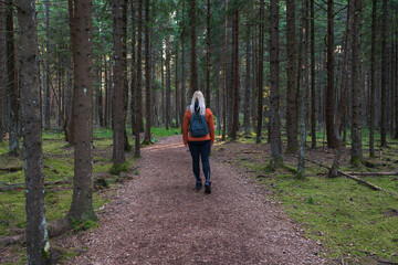 A female tourist with a backpack walks alone on a trail in a dense pine forest. Concept of active...