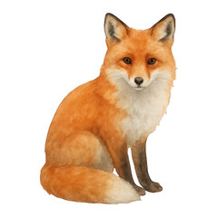 Fototapeta premium PNG Charming watercolor fox illustration.