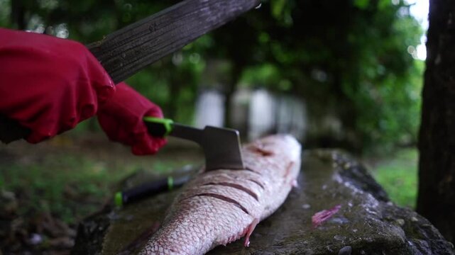 Man cutting a freshly caught snapper fish