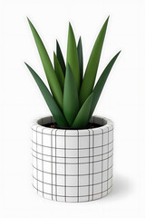 A small succulent plant in a white pot with a black grid pattern.

