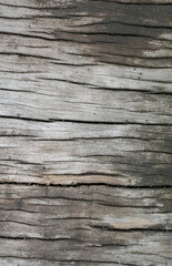 Fototapeta premium Weathered Wood Texture Rustic Gray and Brown Wooden Background