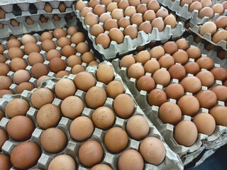 Fresh eggs sold in the market. Eggs contain many nutrients that are good for the body.