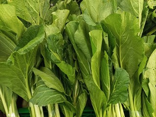 Fresh mustard greens sold on the market. Mustard greens contain many nutrients that are good for...