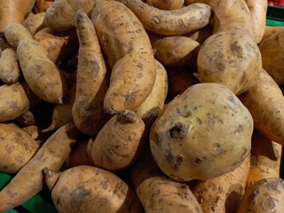 Honey sweet potato or Cilembu sweet potato is a local sweet potato originating from Indonesia.