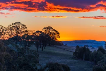 Fototapete Rund Aubergine Sunset over the farm land with trees and paddocks  © Merrillie