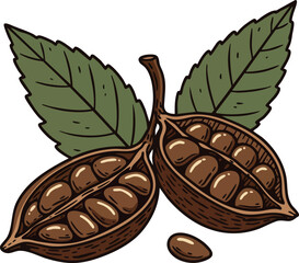 Cocoa pods with green leaves natural hand drawn botanical illustration vector 
