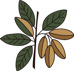 Branch with brown pods and green leaves botanical vector illustration natural design 