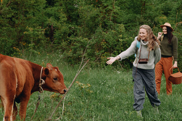 happy middle age woman interacting with a cow outdoors, promoting active healthy lifestyle,...