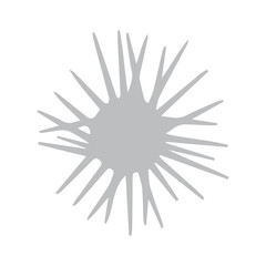 Fototapeta premium animal sea ​​urchin icon