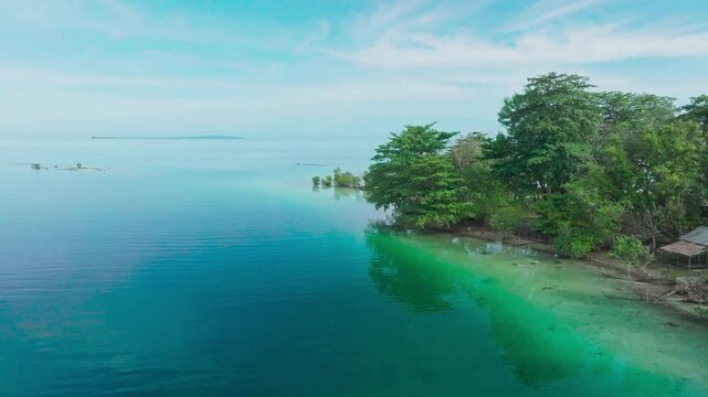 Aerial view of a beautiful tropical island in the Pacific Ocean with mangrove forests and coastal almond trees. A tropical island with calm waves and clear skies