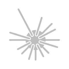 animal sea ​​urchin icon