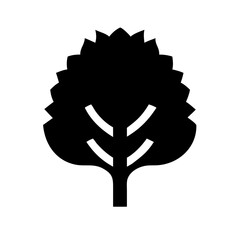 elm tree icon