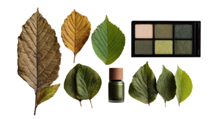 Green and brown leaves arranged with an eyeshadow palette and nail polish on a white isolated background.
