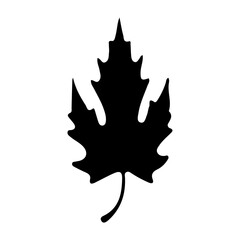 Leaf icon