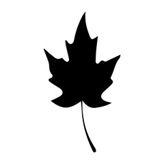 Leaf icon