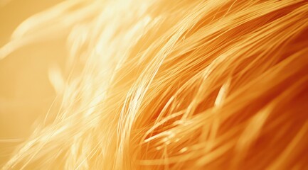 Close-up of a golden-orange fibrous material