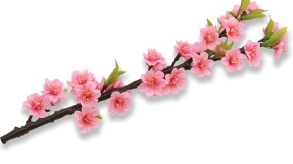 Naklejka premium Pink Blossom Branch Spring Floral Design White Background