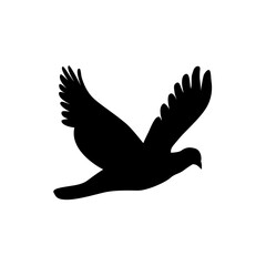 white dove flying in the sky