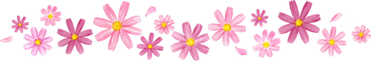 水彩で描いたコスモスのライン飾り