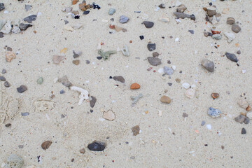 Beach sand with seashells and corals texture in summer sun. Beautiful summer nature background.