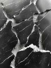 black marble pattern with delicate white veins, glossy surface, plain background, hyper-realistic style, bright studio lighting, neutral tones, rule of thirds with pattern on right